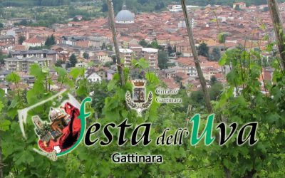 Festa dell’Uva 2017, Gattinara #seitu